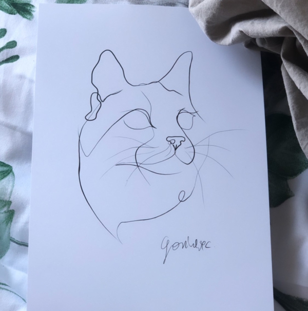 El gato print
